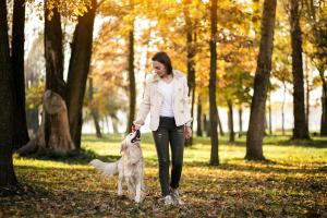 The top 16 most expensive dog breeds in the UK revealed